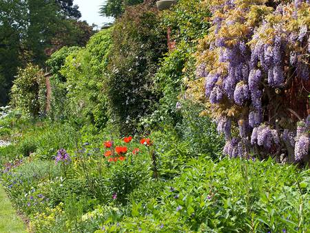 Herbaceous Garden - flowers, garden, herbs, foliage