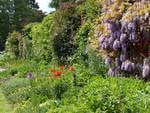 Herbaceous Garden