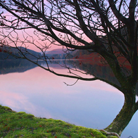 Standing By The Lakeside