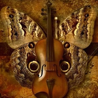 on the wings of music