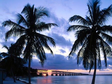 Key Largo sunset - palm trees, relaxing, clouds, orange, bridge, sunset, ocean, blue