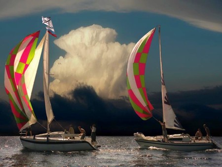 Sail Boats - beautiful, sail boats, view