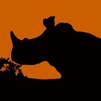 Rhino Sunset