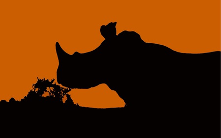 Rhino Sunset - nature, south africa, animal, orange, rhino, sunset, africa, black