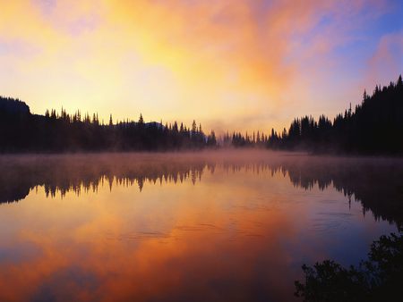 Rising Mist at Dawn - dream of the morring light, and the song of the birds