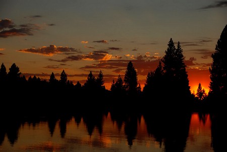 Beauty at Dawn - water, reflection, clouds, beautiful, orange sky, trees, sunset, dawn