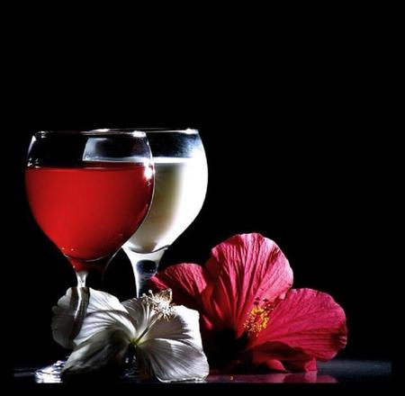 pink and white - white, flowers, wine, pink