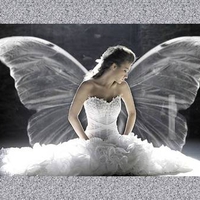 Angel Bride