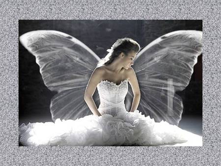 Angel Bride - gown, bride, white, winged, wings, lace, framed