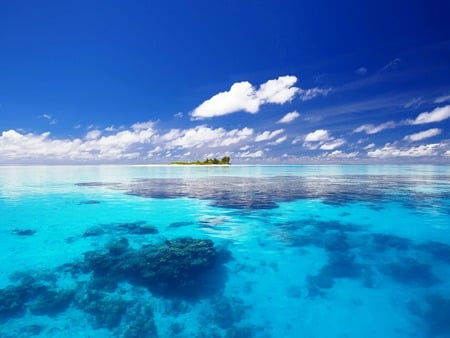 Blue Reefs of Paradise - horizon, mirror, rocks, beautiful, beach, reefs, white, seascape, beaches, nature, paradise, cool, water, stones, blue, sky, island, nice, clouds, fish, sea, day