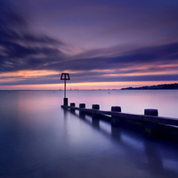 Purple Pier