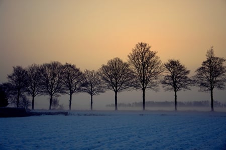 Winter panorama - winter, boechout, snow