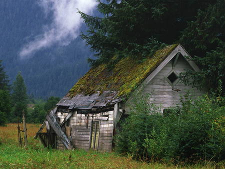 Shedfield2C Hampshire2C  England .jpg - house, mountins, field, nature