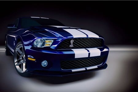 2010 Shelby GT500