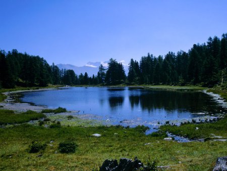 lake - nature, lake