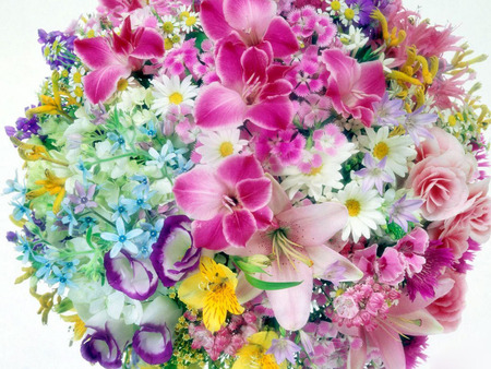 Exotic colorful flowers desktops background .jpg - boqeut, flowers, pretty, exotic