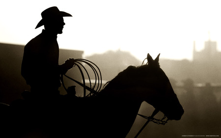 Cowboy at Rodeo. jpg - horse, rodeo, country, cowboy