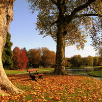 park in the autumn colors