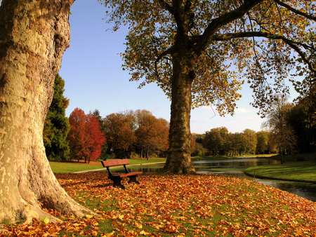 park in the autumn colors - park, colors, autumn