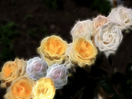 A ray of Roses - fractal, ray, roses