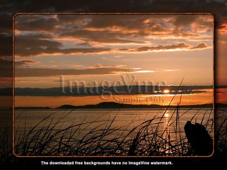 A PEACEFUL QUIET PLACE TO JUST RELAX - quaint, location, calming, beautiful