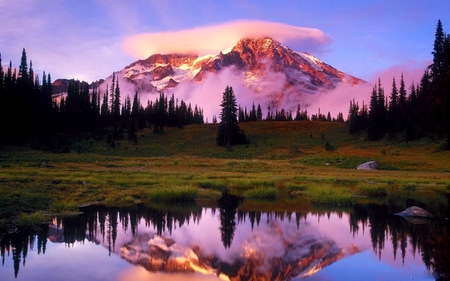 FOGGY MOUNTAIN - lake, trees, mountain, reflection, field, foggy, misty