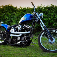 Blue Devil
