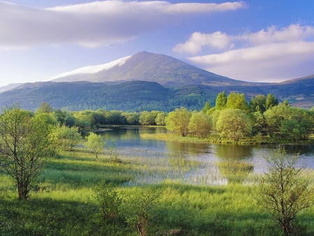 meadow - nature, meadow, hot, cool