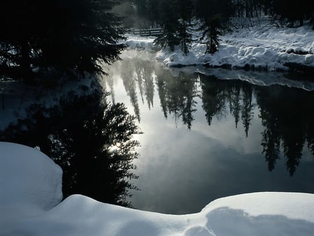 nature in mirror - river, nature, hot, snow, forest, tree, icy