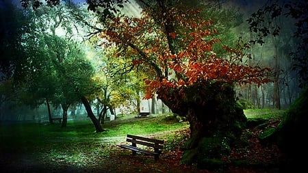 Garden Of Romance - beauty, trees, reddish, light, leaves, green, bench, ray