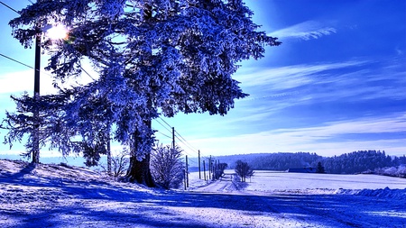 Winter Still Going On - clouds, trees, ray, blue, road, reddish, light, sky