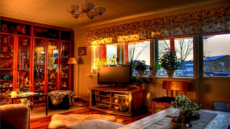 Dreams Of Living Hall - beauty, light, display, flowers, furniture