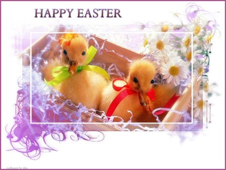 two sweet ducks - easter, ducks, flowers, cute