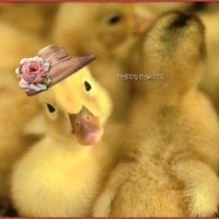 Easter Duck