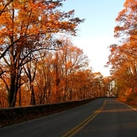 ROAD TO AUTUMN LAND