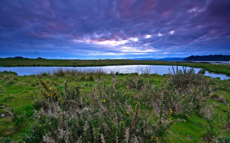 GLORIOUS NATURE - hiddensun, amazing, blue sky, grass, river, riverbank, plants, glorious, dead fern