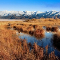 Mackenzie Country,Twizel, New Zealand