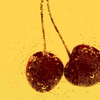 Cherry wallpaper .jpg