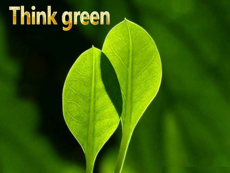 Think green - leaves, green