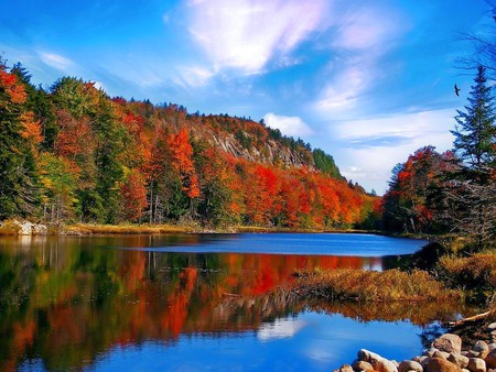 Autumn Colors - picture, beautiful, autumn, lake, colors