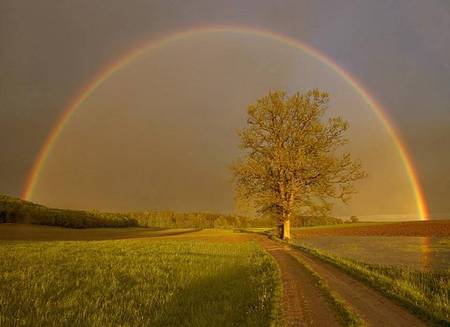 A Rainbow for You - rainbow, fields, road, tree, sky