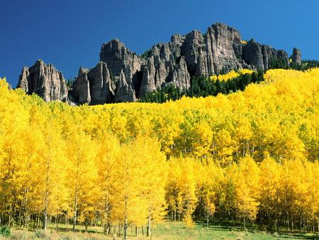 Mountain - sky, yellow, trees, mountain, abstract