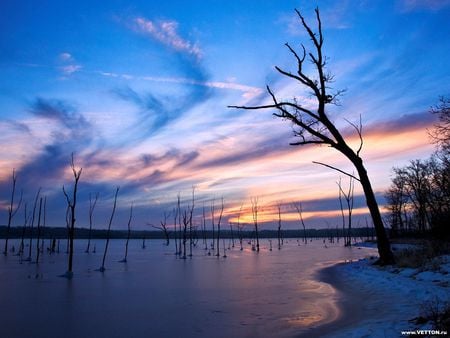 Sunrise Over The Lake  - colours, trees, water, nature, sunrise, lake, sky