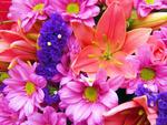 Bouquet of colorful flowers 1.jpg