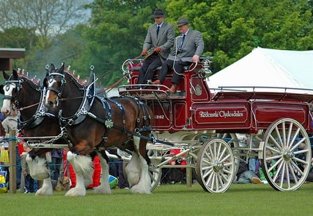 Horse Carriage - picture, horse carriage, cool