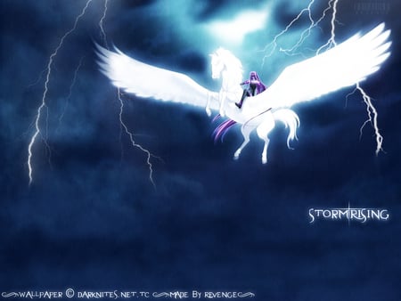 rider-pegasus - pegasus, rider, fate stay night