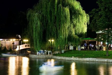 Lake - lake, tree, water