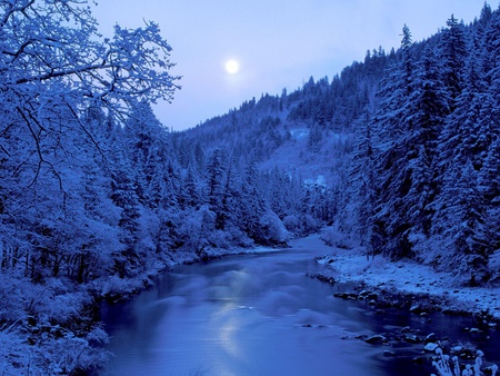 Night Blue Winter - blue, amazing, snow, gourgeous, night, forests, trunks, seasons, nice, moon, trees, winter, water, beautiful, cool, icy, stones, wonderful, ice, frozen, nature, awesome, rocks