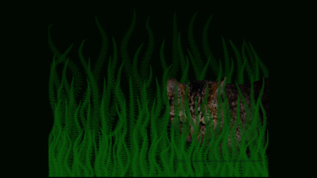 Ferns and Cat - stalking, ferns, green, cat