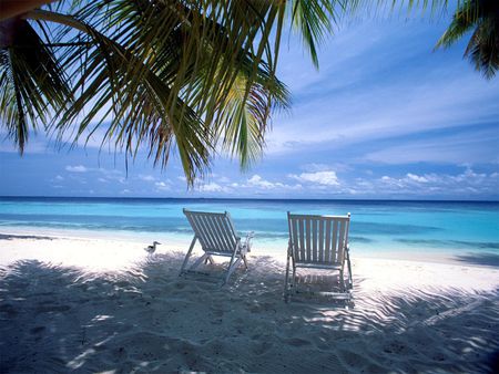 i want holiday wallpapers 160 1024.jpg - plamtree, chairs, sand, beach